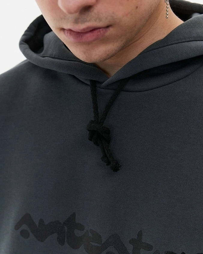 Толстовка Anteater Hoodie